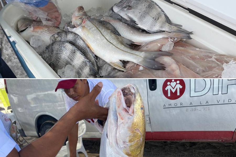 pescado barato en Matamoros