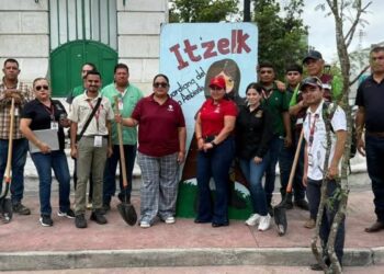 reforestación Plaza Hidalgo en Nuevo Laredo