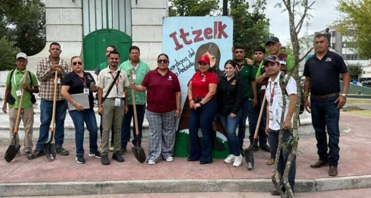 reforestación Plaza Hidalgo en Nuevo Laredo