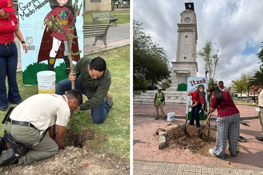 reforestación Plaza Hidalgo en Nuevo Laredo