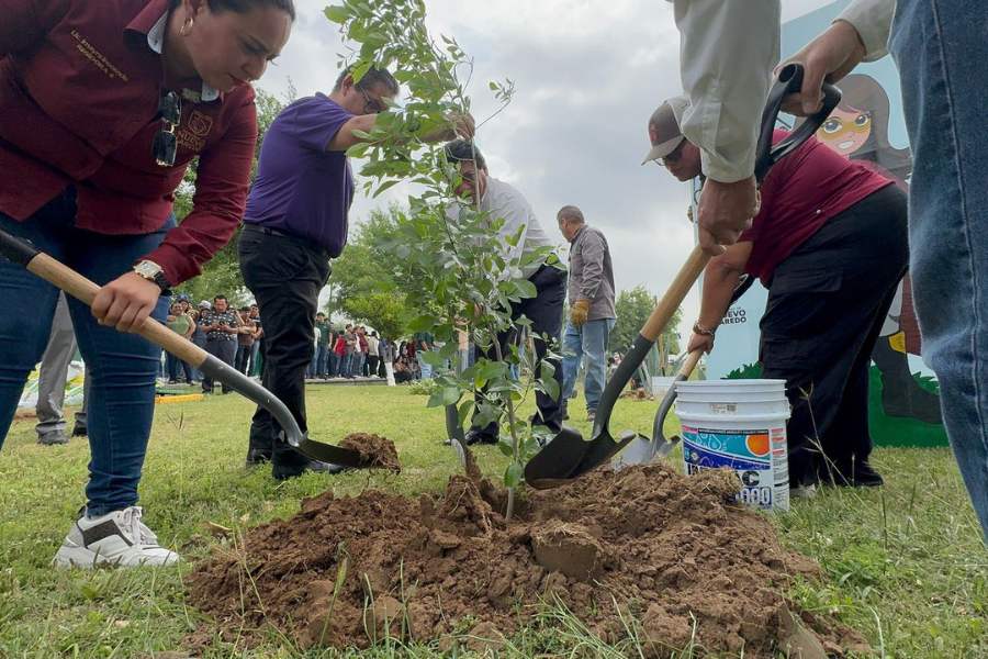 reforestación masiva del campus UTNL