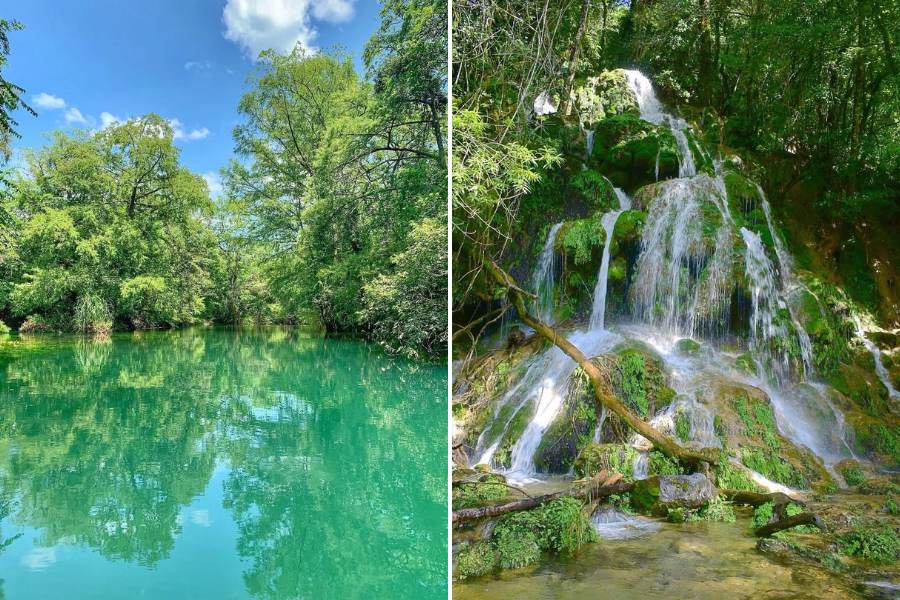 reserva de la biosfera el cielo de tamaulipas