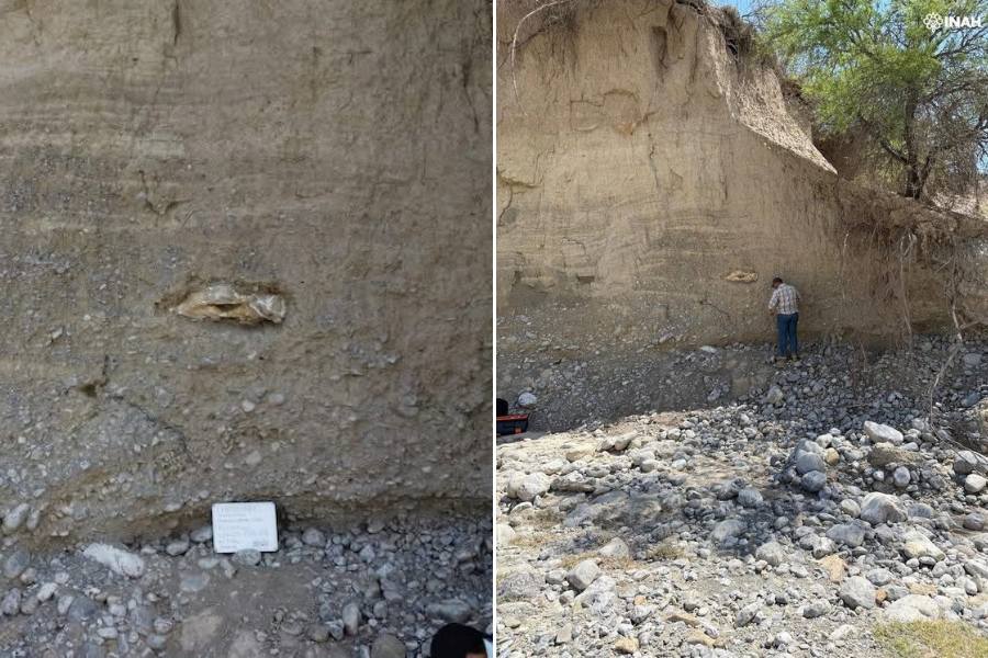 restos fósiles Tula