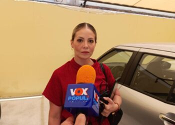 simulador de voto del ietam