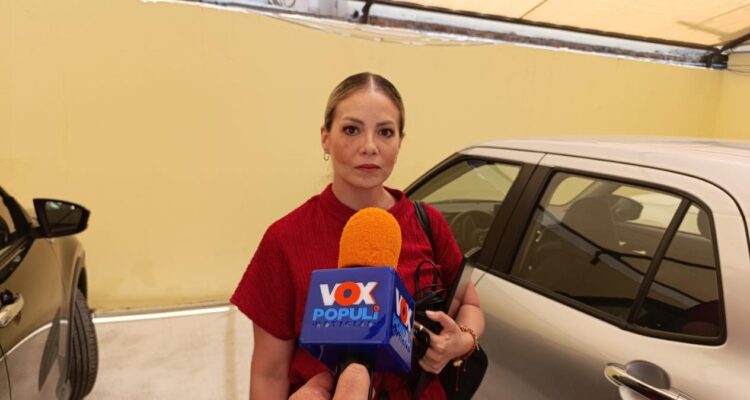 simulador de voto del ietam
