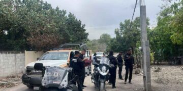 _sin vida hombre Mante