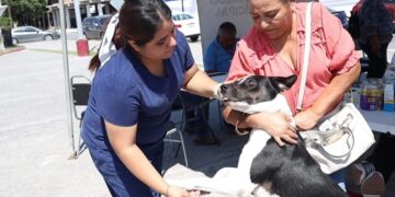 vacuna para perros Matamoros