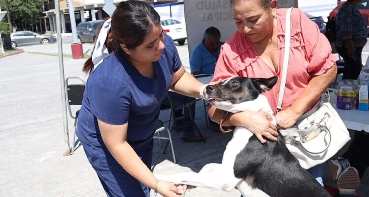 vacuna para perros Matamoros