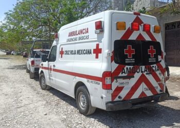 violencia familiar en Ciudad Victoria