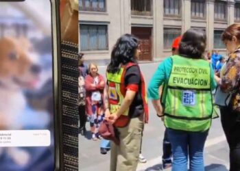 ¿Cómo fue el mensaje y sonido que llegó a los teléfonos durante el Simulacro Nacional 2025?