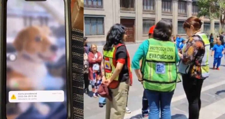 ¿Cómo fue el mensaje y sonido que llegó a los teléfonos durante el Simulacro Nacional 2025?
