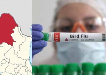 Así se contagió la menor que murió por influenza aviar en Torreón