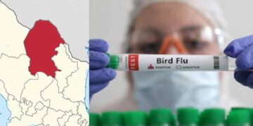 Así se contagió la menor que murió por influenza aviar en Torreón