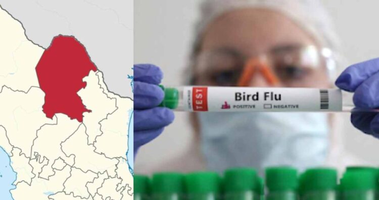 Así se contagió la menor que murió por influenza aviar en Torreón