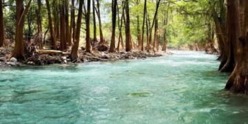 ¿Cómo llegar al Río Ramos en Allende, NL?