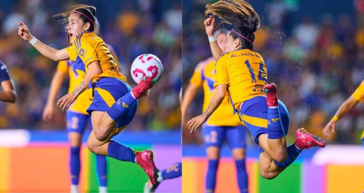 Jaqueline Ovalle - Tigres