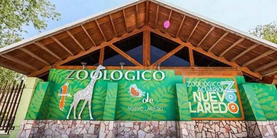 ¿Qué hacer en Nuevo Laredo esta Semana Santa Aquí los destinos más visitados en las vacaciones