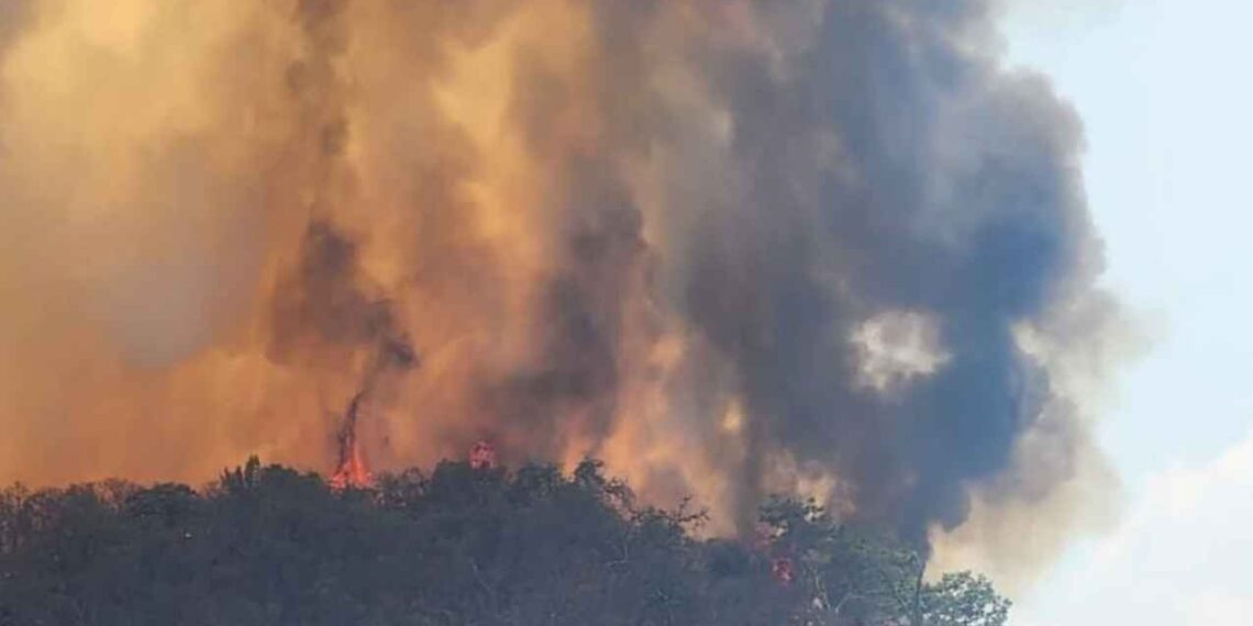 Alarma por incendio forestal en carretera Valle de Bravo–Colorines, Edomex