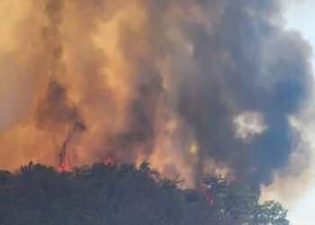 Alarma por incendio forestal en carretera Valle de Bravo–Colorines, Edomex