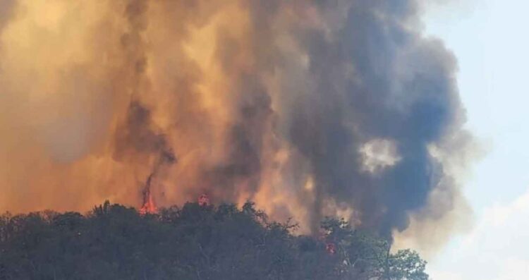 Alarma por incendio forestal en carretera Valle de Bravo–Colorines, Edomex