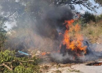 Altamira enfrenta hasta ocho incendios de pastizales por semana; señalan a piromaniacos como responsables