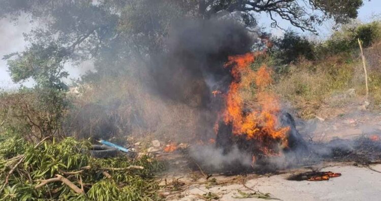 Altamira enfrenta hasta ocho incendios de pastizales por semana; señalan a piromaniacos como responsables