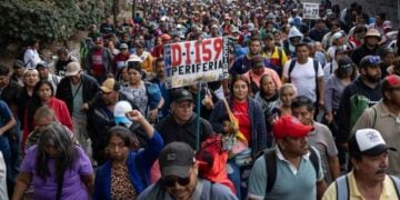CNTE sábado propuestas