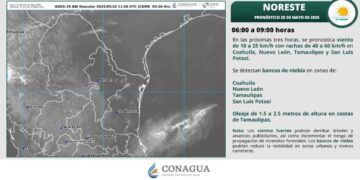 Clima martes 20 de mayo: ¿Hará calor o lloverá en Tamaulipas?