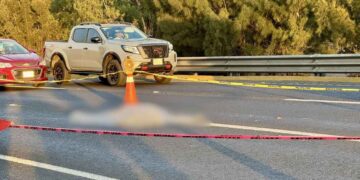 Conductor arrolla y mata a mujer en la Autopista México-Pachuca