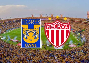 Tigres Necaxa Cuartos de Final