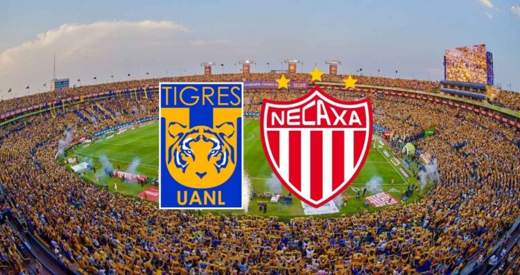 Tigres Necaxa Cuartos de Final