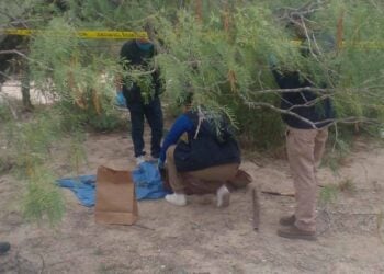 Encuentran tambo con restos óseos calcinados en Camargo, Tamaulipas