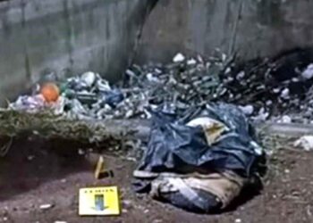 torso humano Ecatepec