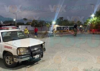 Enjambre de abejas ataca a estudiantes y vecinos en la colonia Satélite de Ciudad Victoria