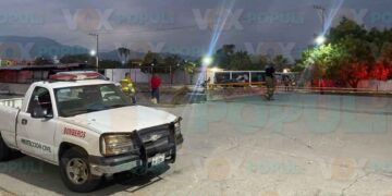 Enjambre de abejas ataca a estudiantes y vecinos en la colonia Satélite de Ciudad Victoria