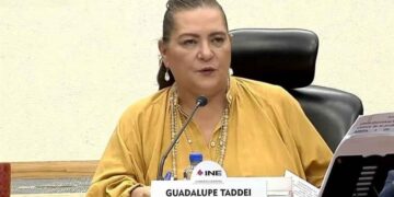 INE militantes observadores