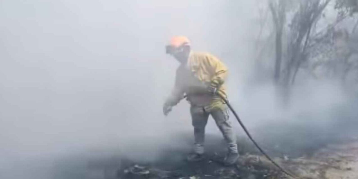 Incendio baldío Santa Catarina (3)