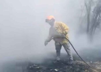 Incendio baldío Santa Catarina (3)