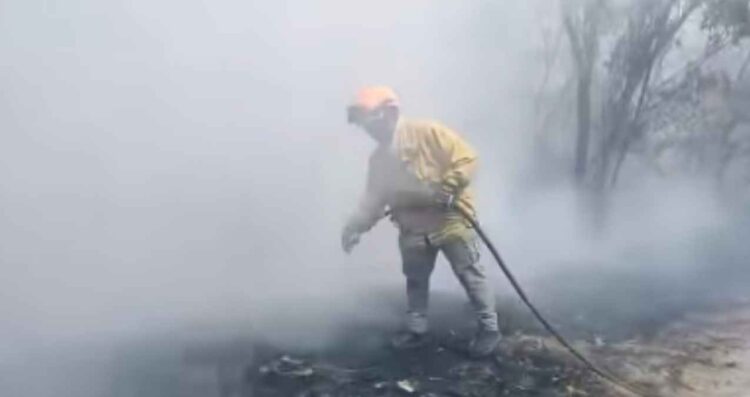 Incendio baldío Santa Catarina (3)