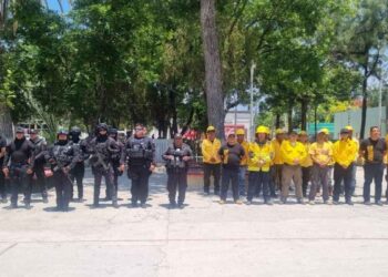 Incendio forestal en Jaumave