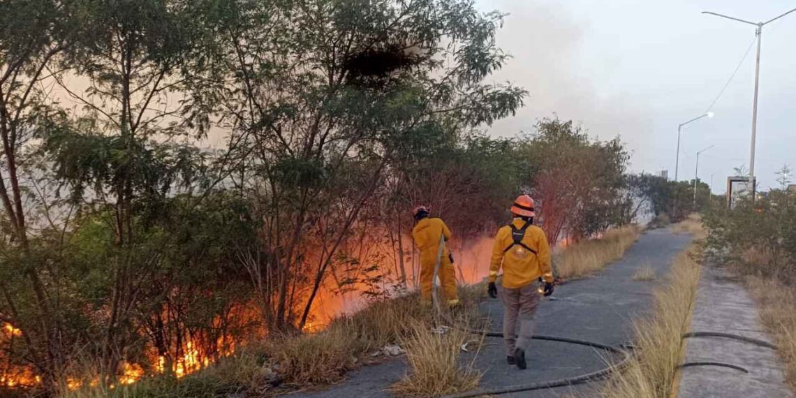 Incendio río Santa Catarina