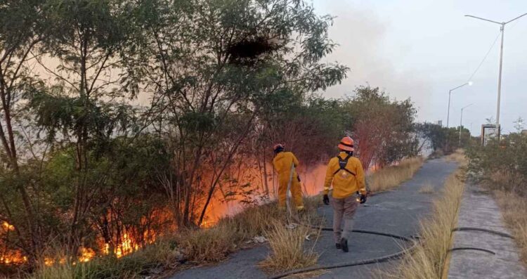 Incendio río Santa Catarina