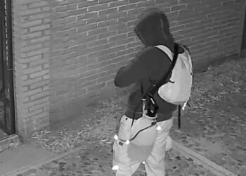 Investigan a francés por ataque con ácido a perritas en Oaxaca