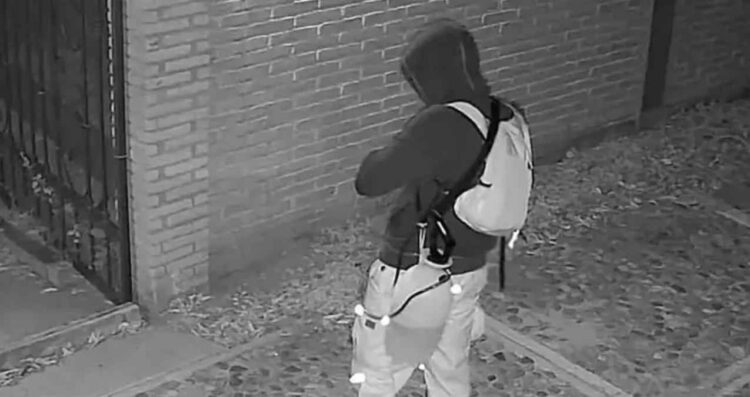 Investigan a francés por ataque con ácido a perritas en Oaxaca