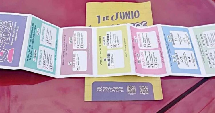 JUFED elección judicial simulación