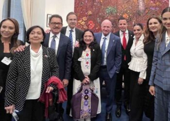 senadores mexicanos remesas