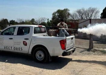 Mantiene sector Salud acciones de combate al dengue en Tamaulipas