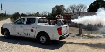 Mantiene sector Salud acciones de combate al dengue en Tamaulipas