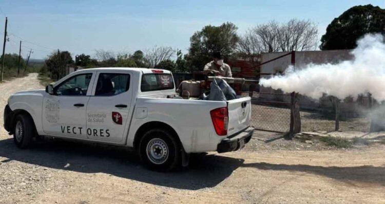 Mantiene sector Salud acciones de combate al dengue en Tamaulipas