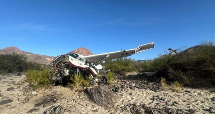 Milagro en el aire Se desploma avioneta en Baja California y sobreviven los 6 pasajeros